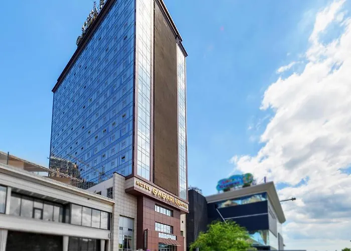 加加林旅馆 酒店 敖德萨