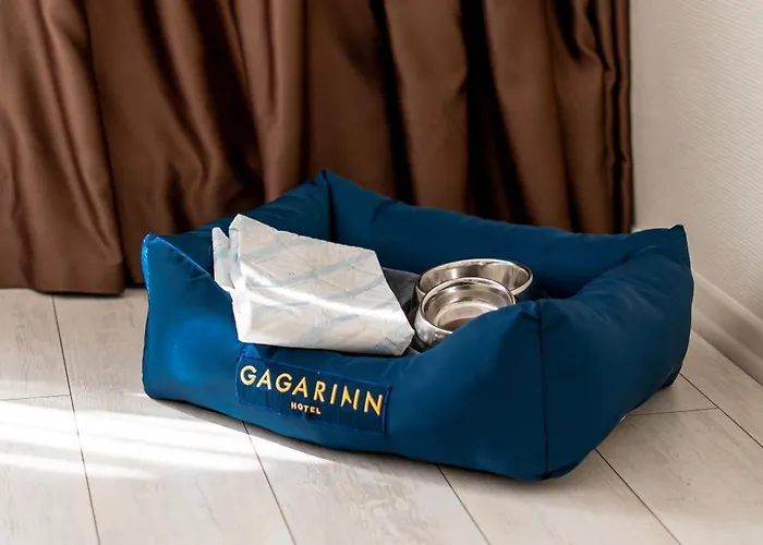 Готель Gagarinn 4*