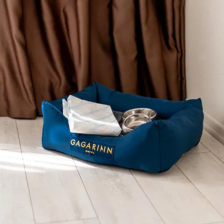 Hotel Gagarinn 4*