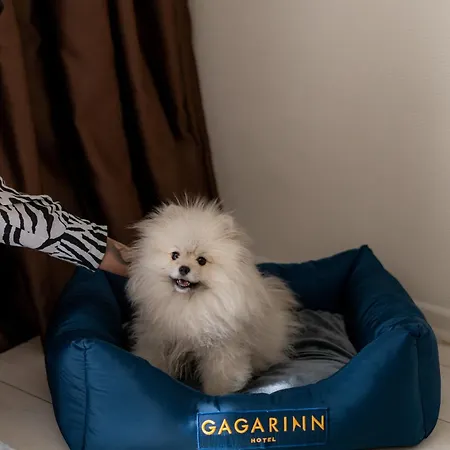Hotel Gagarinn Odessa
