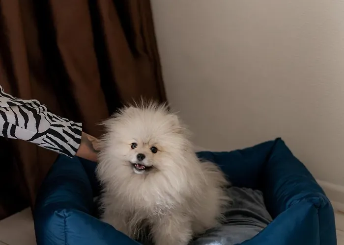 Szálloda Gagarinn Odessza